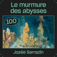 Les Baladeurs artwork