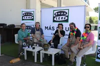 Más de uno artwork