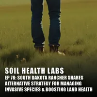 Soil Health Labs artwork