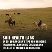 Soil Health Labs artwork