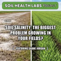Soil Health Labs artwork