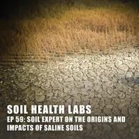 Soil Health Labs artwork