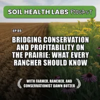 Soil Health Labs artwork