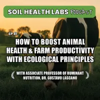 Soil Health Labs artwork