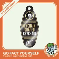 Go Fact Yourself artwork