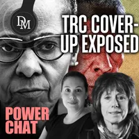Daily Maverick artwork
