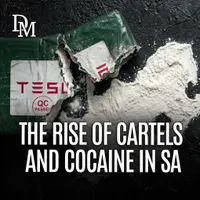 Daily Maverick artwork