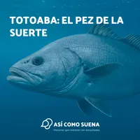 Así como suena artwork