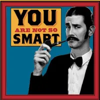 You Are Not So Smart artwork
