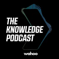 The Knowledge by Wahoo artwork