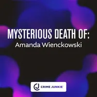 Crime Junkie artwork