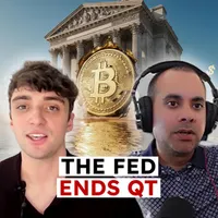 The Bitcoin Layer artwork