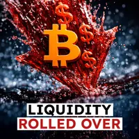 The Bitcoin Layer artwork