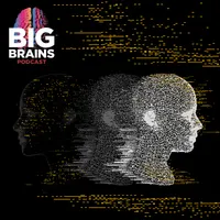 Big Brains artwork