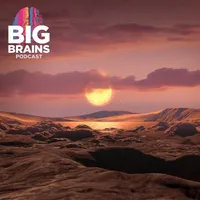 Big Brains artwork