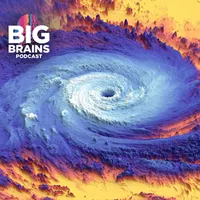Big Brains artwork