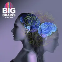 Big Brains artwork