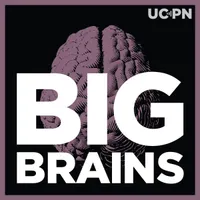 Big Brains artwork