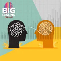 Big Brains artwork