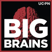 Big Brains artwork