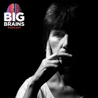 Big Brains artwork