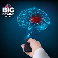 Big Brains artwork