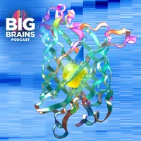 Big Brains artwork