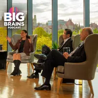 Big Brains artwork