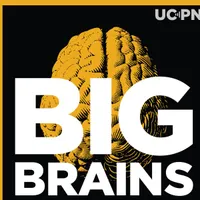 Big Brains artwork
