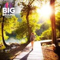 Big Brains artwork