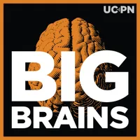 Big Brains artwork