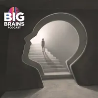 Big Brains artwork
