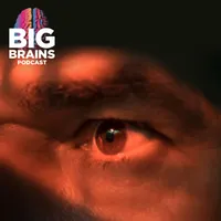 Big Brains artwork
