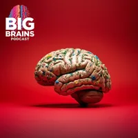 Big Brains artwork