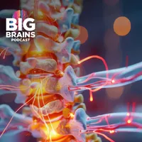 Big Brains artwork