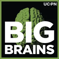 Big Brains artwork