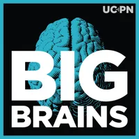 Big Brains artwork