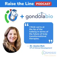 Raise the Line artwork