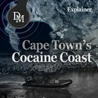 Daily Maverick artwork