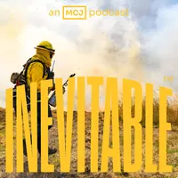 Inevitable artwork