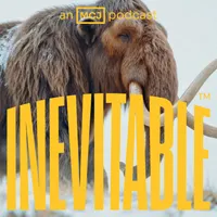 Inevitable artwork