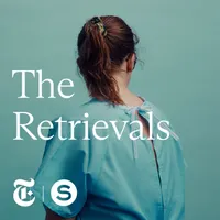 The Retrievals artwork