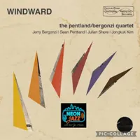 Neon Jazz Interviews artwork