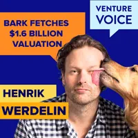 Venture Voice – interviews with entrepreneurs artwork