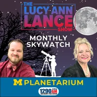 The Lucy Ann Lance Show artwork