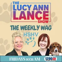 The Lucy Ann Lance Show artwork