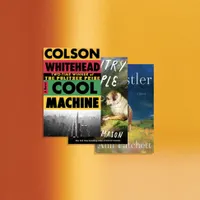 The Book Review artwork