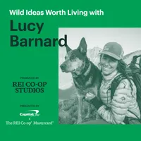 Wild Ideas Worth Living artwork