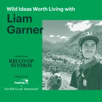 Wild Ideas Worth Living artwork