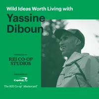 Wild Ideas Worth Living artwork